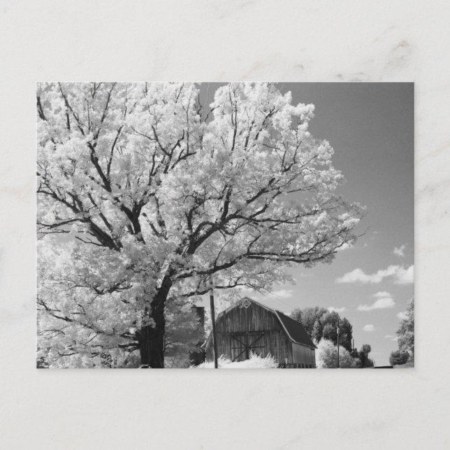 Cartão Postal Wisconsin Farm Postcard (Frente)
