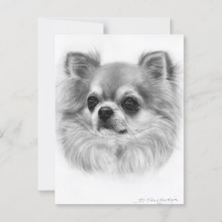 Cartão Postal Wise Eyes Pintou Chihuahua Retrait