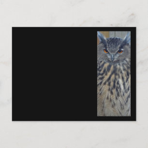 Cartão Postal Wise One