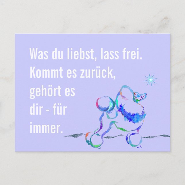 Cartão Postal Wise Poodle (Frente)