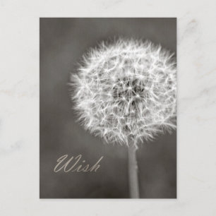 Cartão Postal Wish Dandelion inspirado