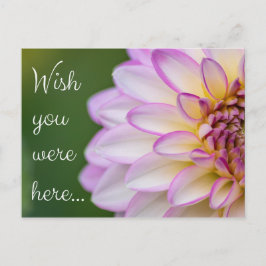 Cartão Postal Wish you were here...
