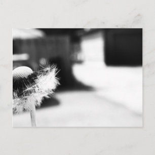 Cartão Postal Wishing 2