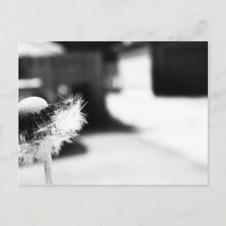 Cartão Postal Wishing 2