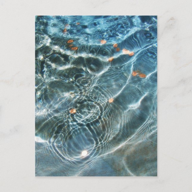 Cartão Postal Wishing Fountain (Frente)