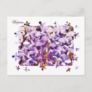 CARTÃO POSTAL WISTERIA