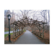 Wisteria Pergola Nova Iorque Central Park NYC