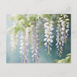 Cartão Postal Wisteria Românica Vine Watercolor em Azul Posto