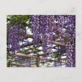 Cartão Postal Wisteria Trellis: Kameido Tenjin, Tóquio