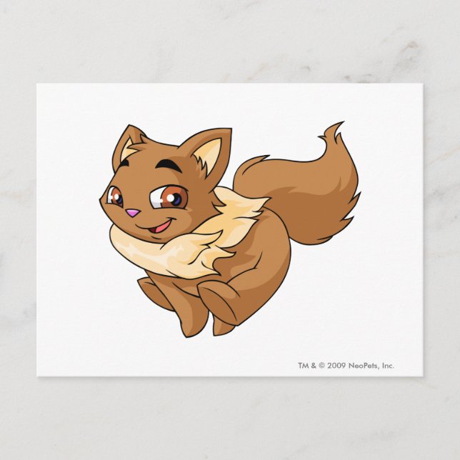 Cartão Postal Wocky Brown (Frente)