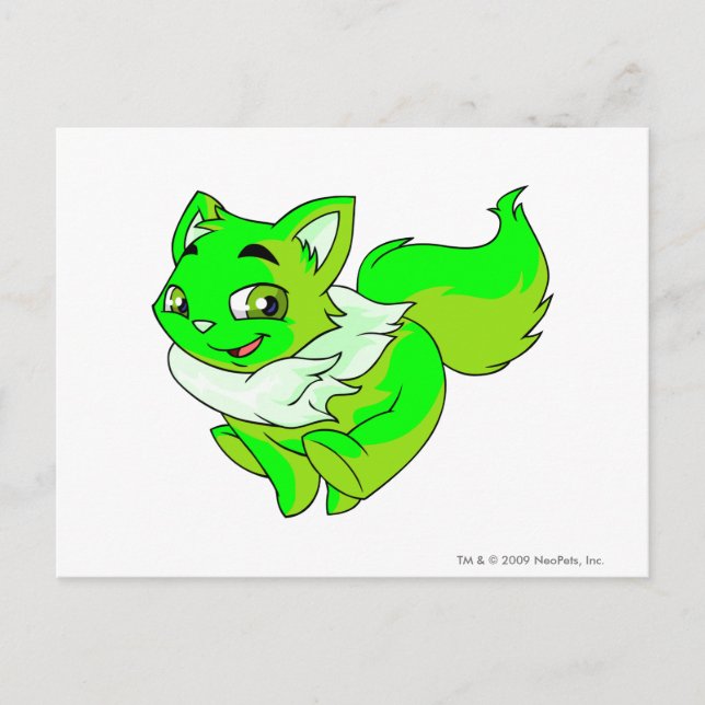 Cartão Postal Wocky Glowky (Frente)