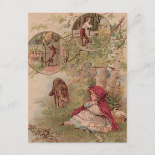 Cartão Postal Wolf Andando Em Direção A Cabeça Vermelha Andan