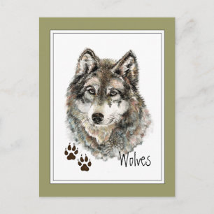 Cartão Postal Wolf - Cinza de Aquarela Original - Rastreio Anima