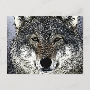 Cartão Postal Wolf Eyes
