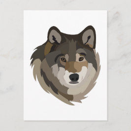 Cartão Postal Wolf Head Animal Cinza Selvagem Wolf