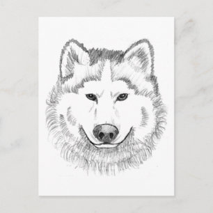 Cartão Postal Wolf Head Sketch