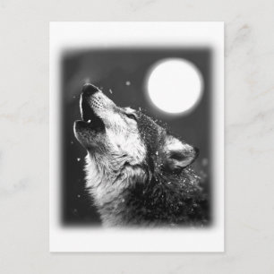 Cartão Postal Wolf Howling na Lua