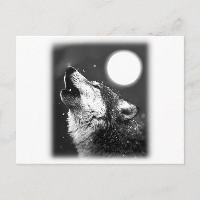 Cartão Postal Wolf Howling na Lua (Frente)