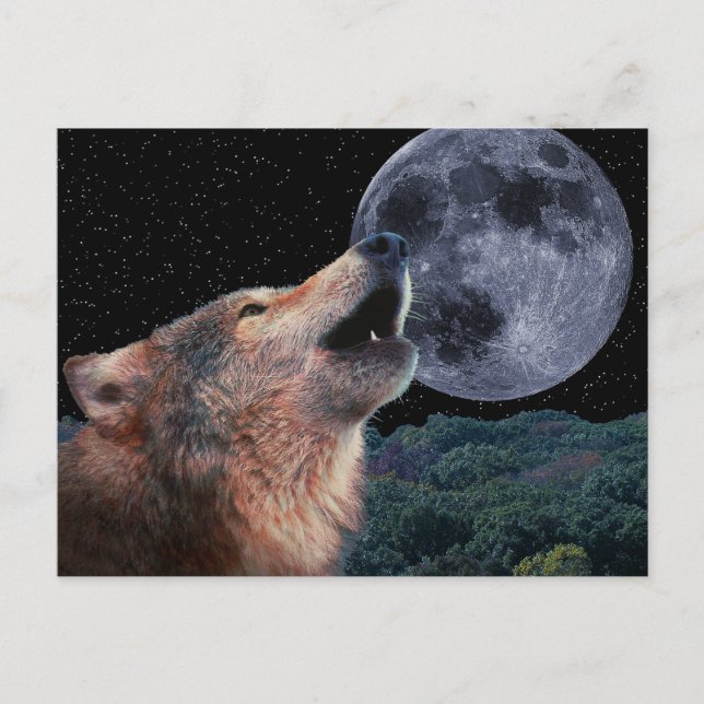 Cartão Postal Wolf Howling na lua cheia - Produtos múltiplos-02 (Frente)