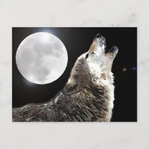 Cartão Postal Wolf & Moon