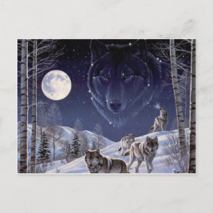 Cartão Postal Wolf Pack