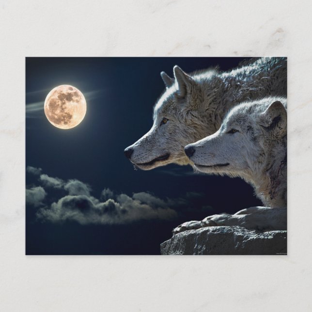 Cartão Postal Wolf Pair Moon Night Gothasy (Frente)