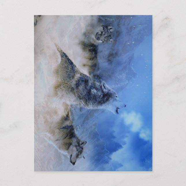 Cartão Postal Wolf Spirits (Frente)