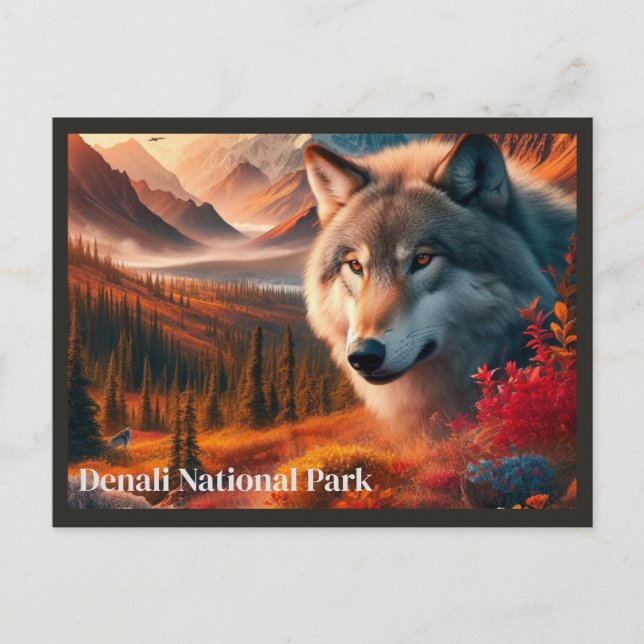Cartão Postal Wolf Sunset Denali State Park Postcard (Frente)