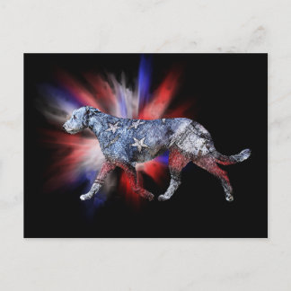 Cartão Postal Wolfhound Red White e Blue, um irlandês patriótico