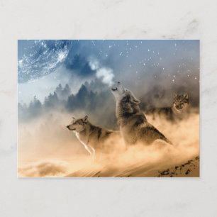 Cartão Postal Wolves Moon Fog Nature Scenery