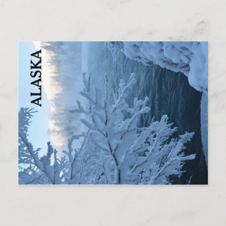 Cartão Postal Wonderland