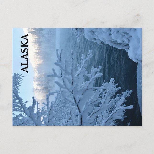 Cartão Postal Wonderland (Frente)