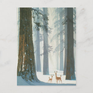 Cartão Postal Wonderland