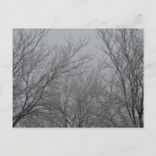 Cartão postal Wonderland de inverno