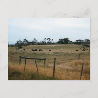 Cartão Postal Wonthaggi