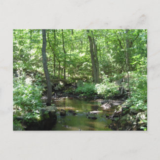 Cartão Postal Wooded Creek