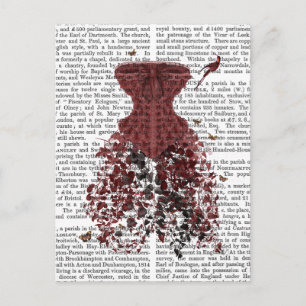 Cartão Postal Woodland Corset 2