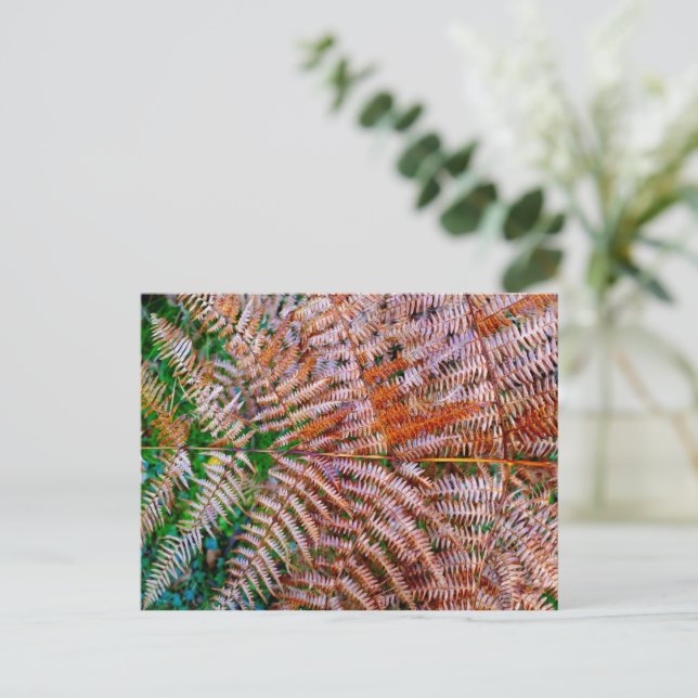 Cartão Postal Woodland Ferns (Em pé/Frente)