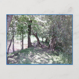 Cartão Postal Woods pelo Cartão-postal Pond Photo