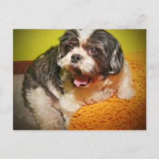 CARTÃO POSTAL WOOF!