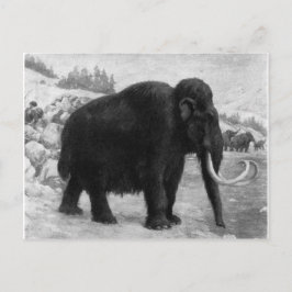 Cartão Postal Wooly Mammoth Mod Destiny