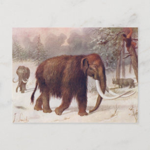 Cartão Postal Wooly Mammoth Pré-Histórica Animal Antiquado Impre