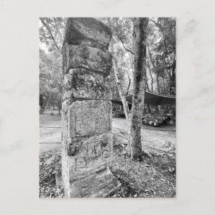 Cartão Postal World2Celebrate: Saudações de Chichén Itzá!