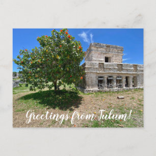 Cartão Postal World2Celebrate: Saudações de Tulum!