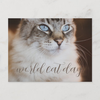 Cartão Postal world Cat Day Postcard