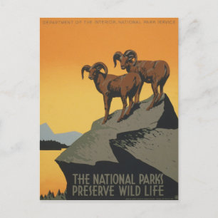 Cartão Postal WPA Vintage National Parks Willife Viagem