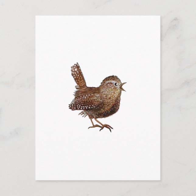 Cartão Postal Wren Bird cantando em voz alta e linda música (Frente)