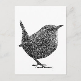 Cartão Postal Wren (preto e branco)