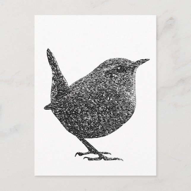 Cartão Postal Wren (preto e branco) (Frente)
