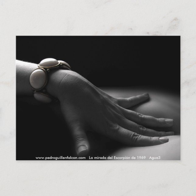 Cartão Postal www.pedroguillenfalcon.com (Frente)